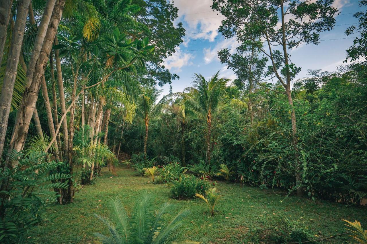 Huingos Eco Lodge Tarapoto Exterior photo
